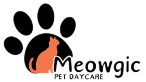Meowgic logo